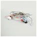 Southbend 1180482 8 Inch Gas Cch Harness with Reliable Connection