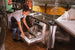 Hobart LXNH-5 24 Inch Dishwasher High Temperature Sanitizing Undercounter with 17 Inch Door Opening