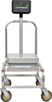 Optional 20 Inch Moveable Cart with Locking Casters, Hobart HBR300-STAND