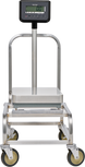 Optional 20 Inch Moveable Cart with Locking Casters, Hobart HBR300-STAND
