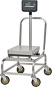 Optional 20 Inch Moveable Cart with Locking Casters, Hobart HBR300-STAND