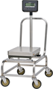 Optional 20 Inch Moveable Cart with Locking Casters, Hobart HBR300-STAND